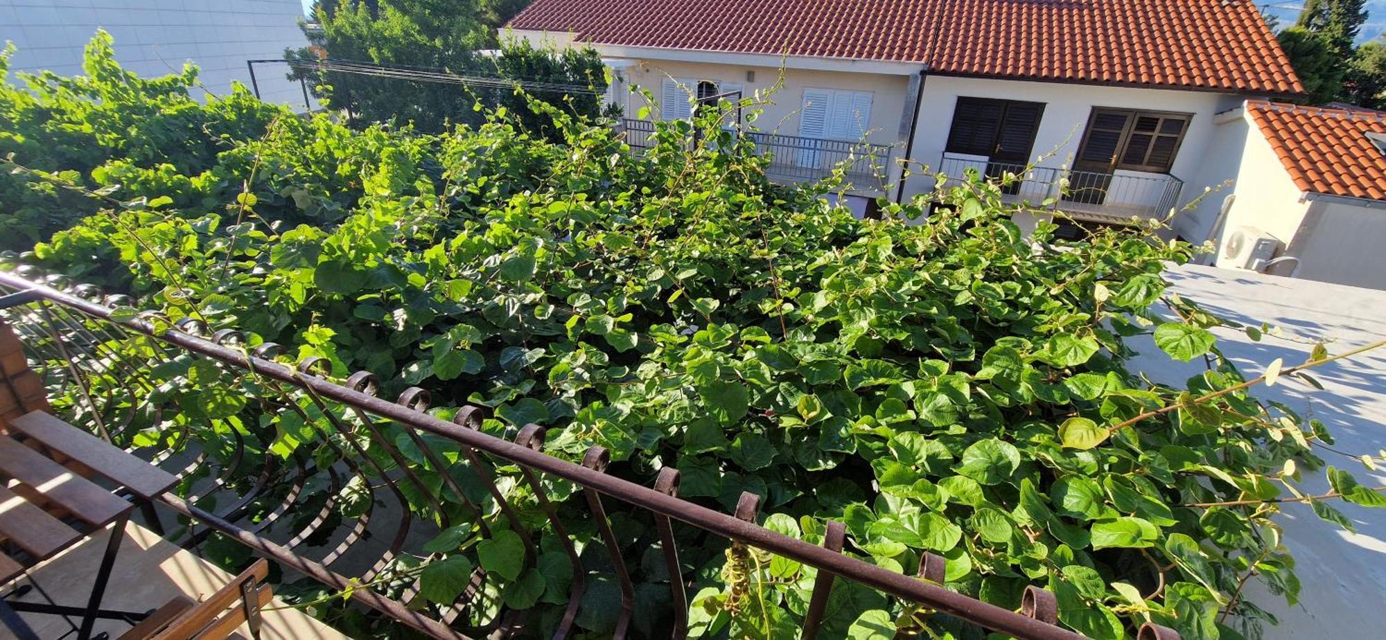 Palute Otel Supetar Dış mekan fotoğraf