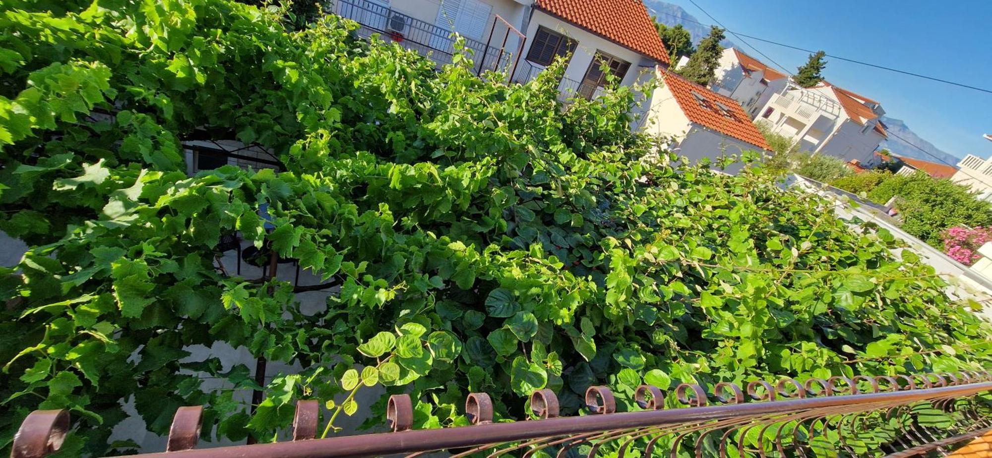 Palute Otel Supetar Dış mekan fotoğraf